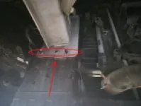 Secondary slider image6