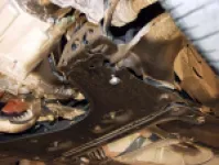 Secondary slider image3